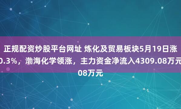 正规配资炒股平台网址 炼化及贸易板块5月19日涨0.3%，渤海化学领涨，主力资金净流入4309.08万元