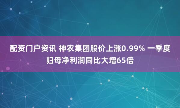 配资门户资讯 神农集团股价上涨0.99% 一季度归母净利润同比大增65倍